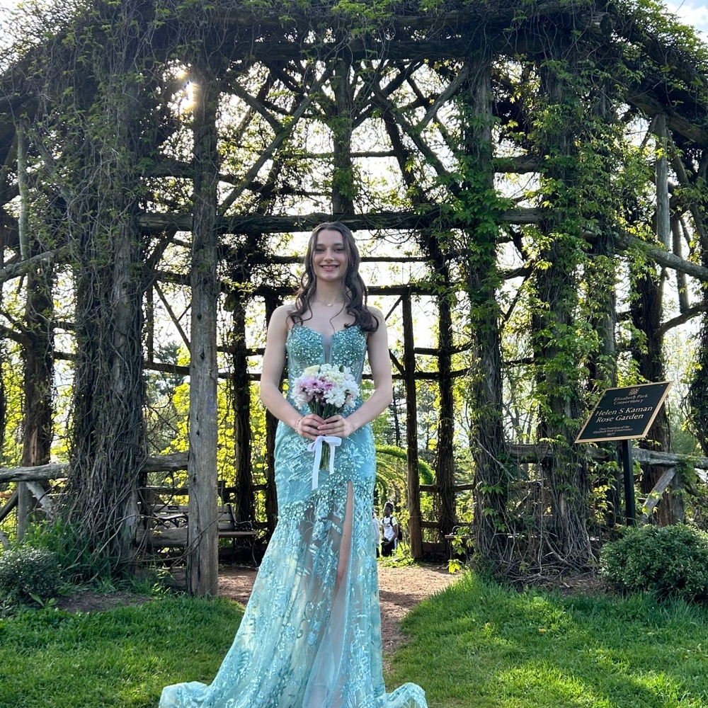 Prom Dress - Picture 7 of 7